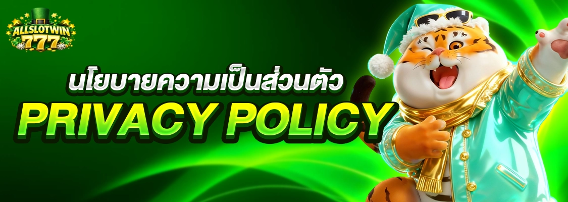 นโยบายความเป็นส่วนตัว